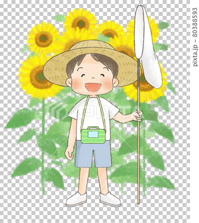 ヒマワリと麦わら帽子の男の子のイラスト素材